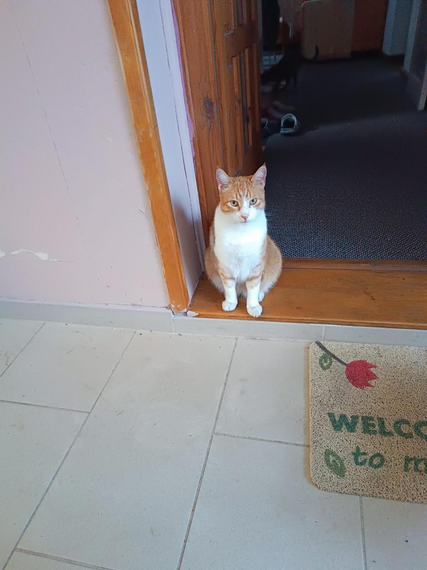 Bolero Apartman Sarajewo Zewnętrze zdjęcie